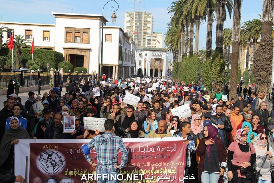 nador5560