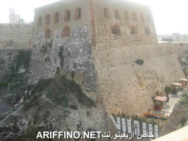 nador6191