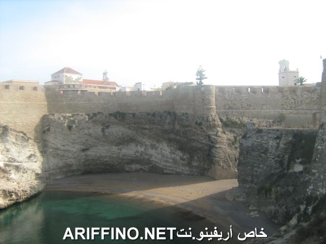 nador6195