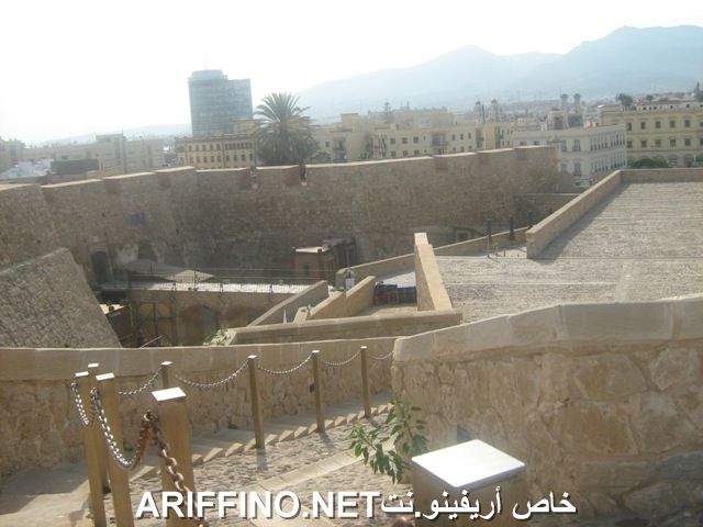nador6197
