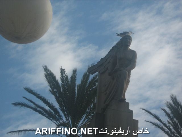 nador6204
