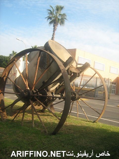 nador6206