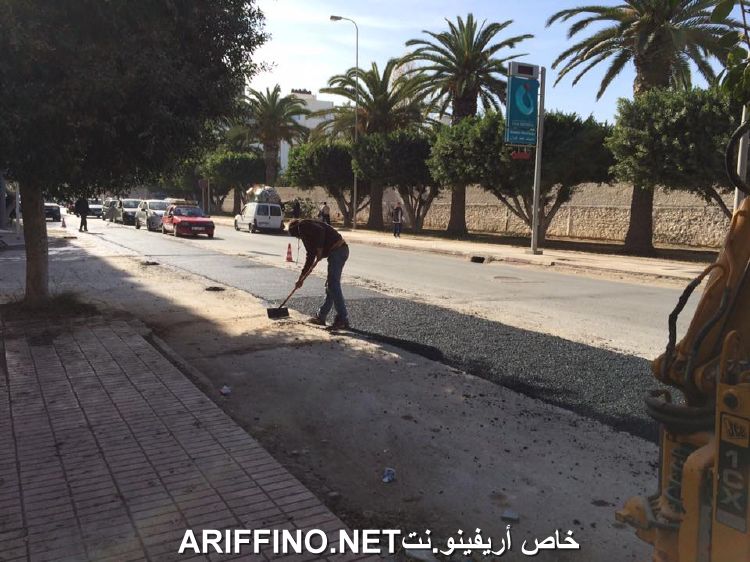 nador6229