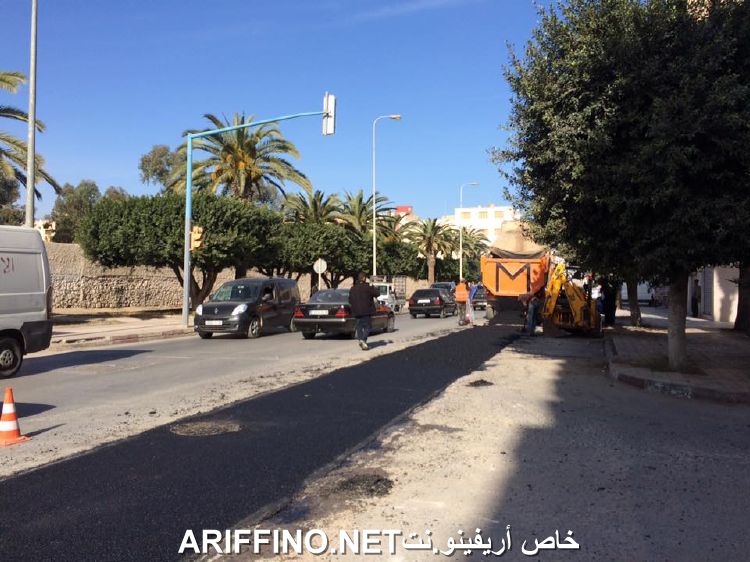 nador6233