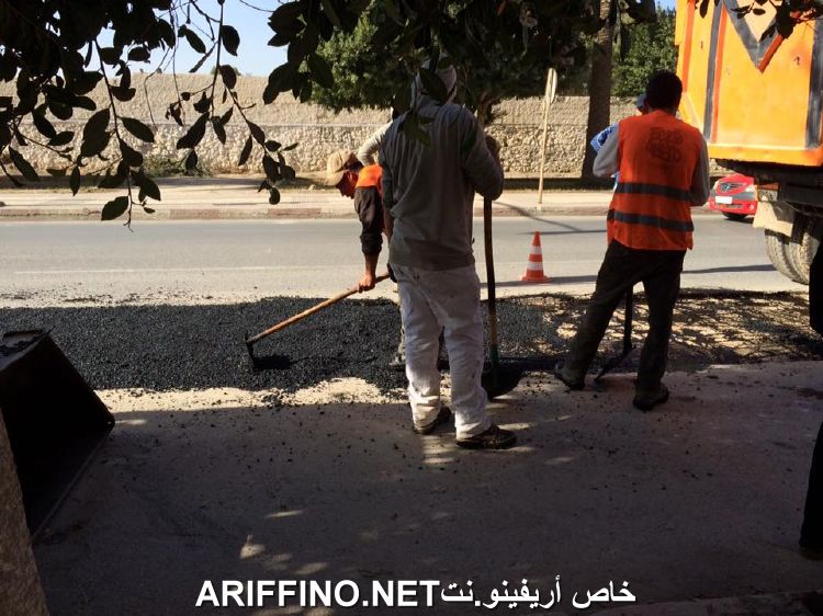 nador6238