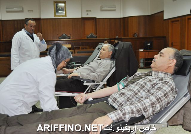 nador6431