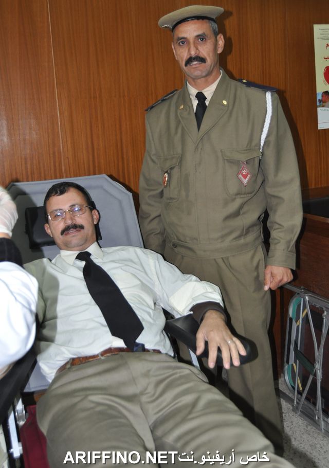nador6447