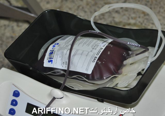 nador6454