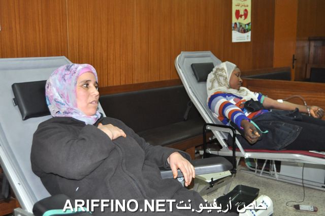 nador6482