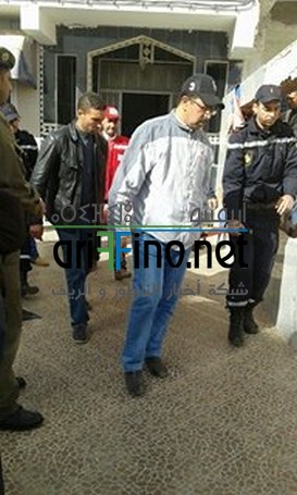 12767323_825438477561275_797999493_n (Copier)