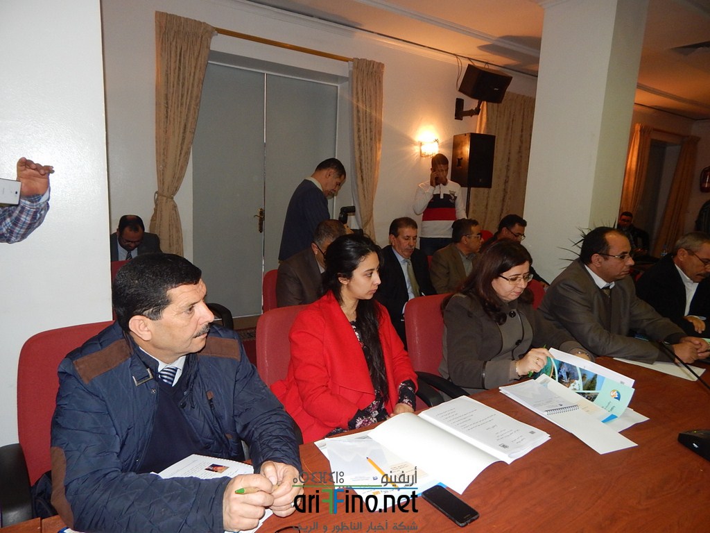 DSCN6132 (Copier)