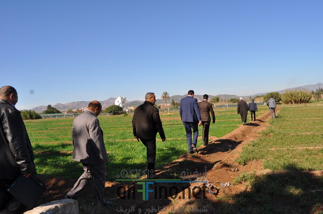 DSC_0051 (نسخ)