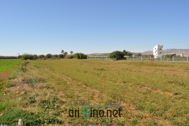 DSC_0054 (نسخ)