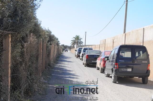 DSC_0099 (نسخ)