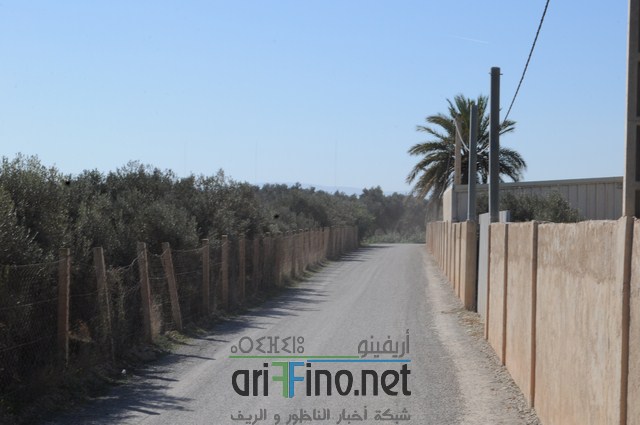 DSC_0101 (نسخ)