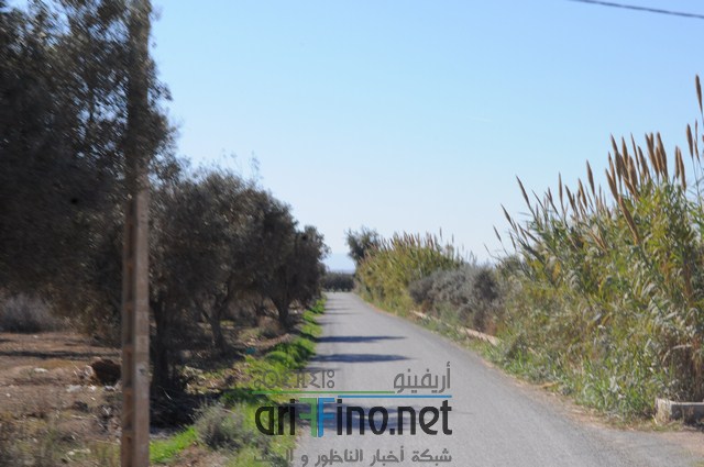 DSC_0105 (نسخ)