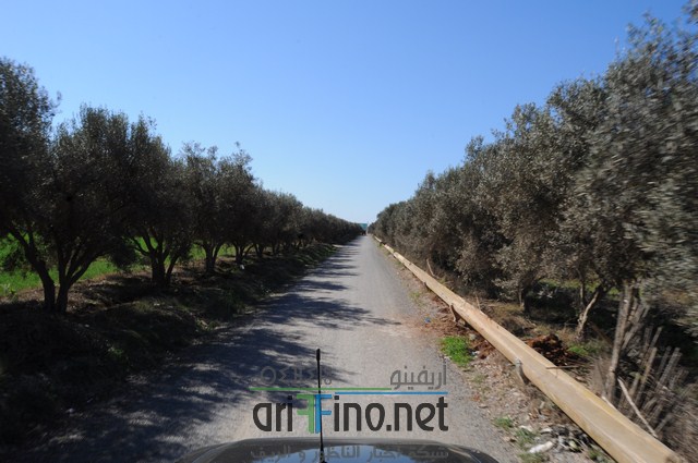 DSC_0110 (نسخ)