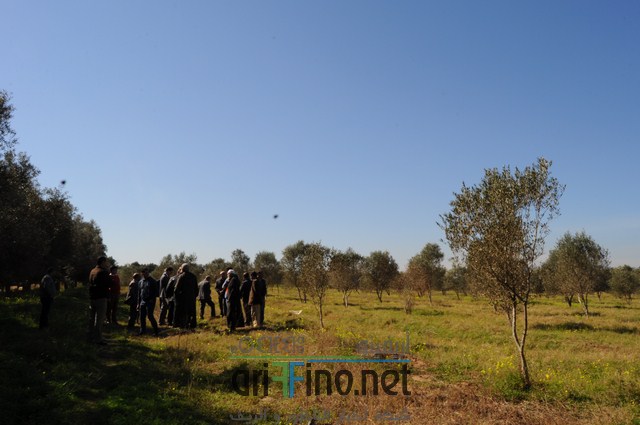 DSC_0187 (نسخ)