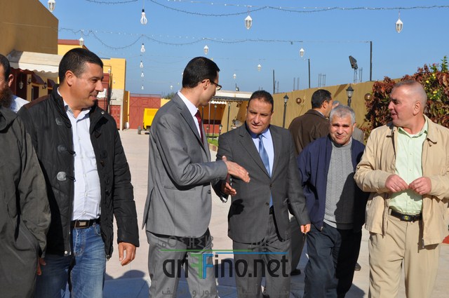 DSC_0231 (نسخ)