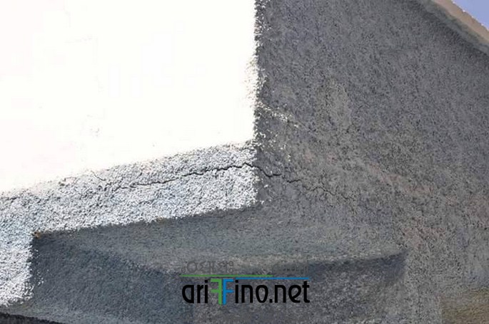 12596392_1145594125473446_308684837_n (Copier)
