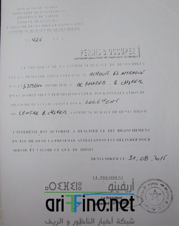 DSCF7334 (Copier)