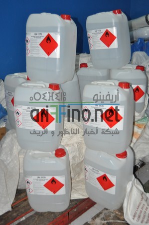DSC_0014 (___)