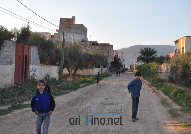 DSC_0098 (نسخ) (1)