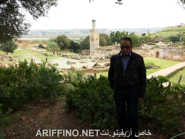 nador643