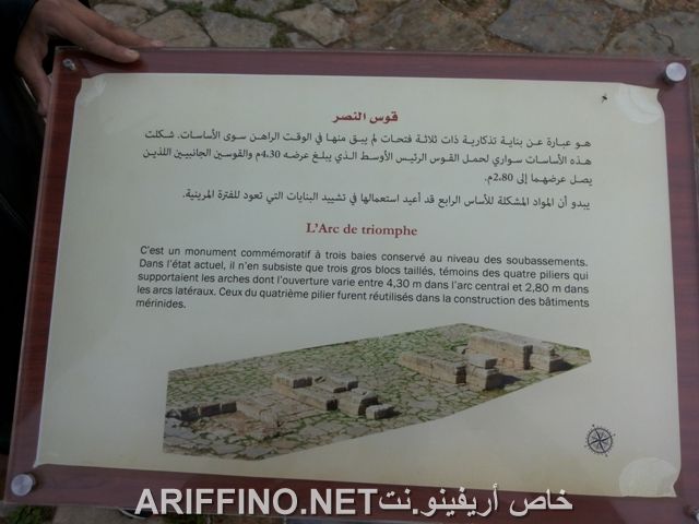 nador645
