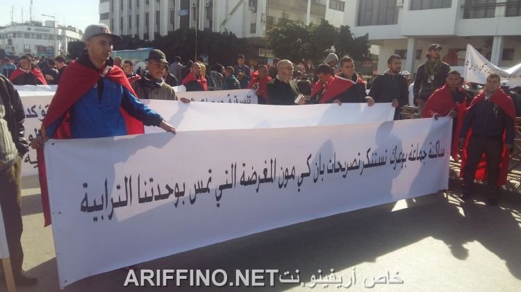nador834