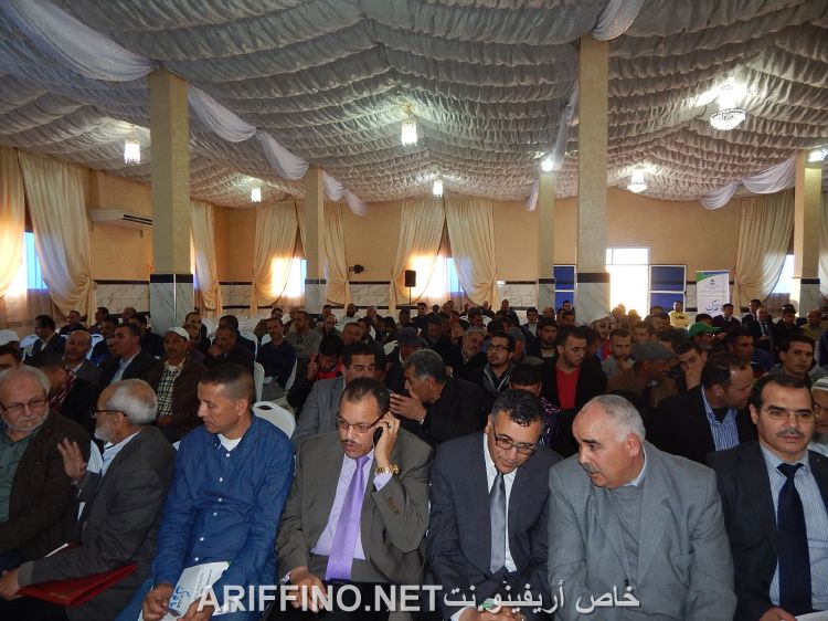 nador880