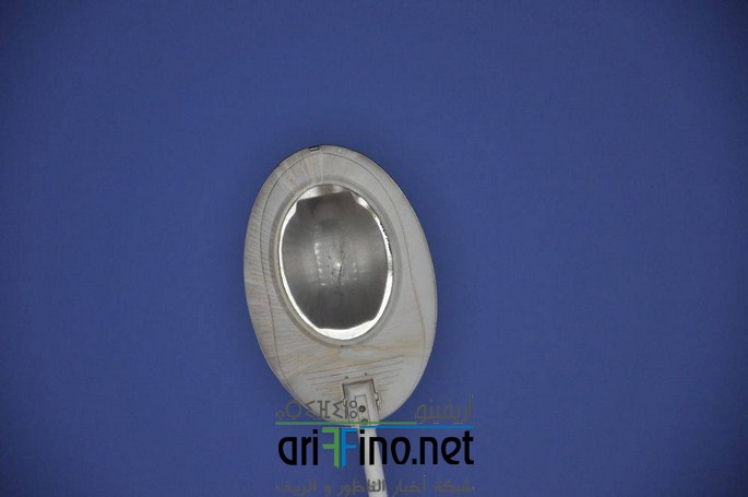 13010233_1170140439685481_503880229_o (Copier)
