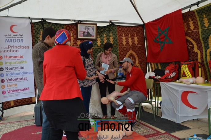 CRM NADOR (61) (Copier)