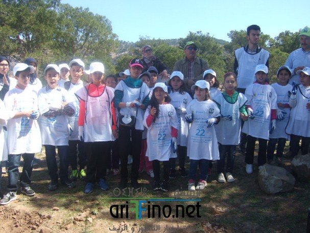 DSCF3468 (Copier)