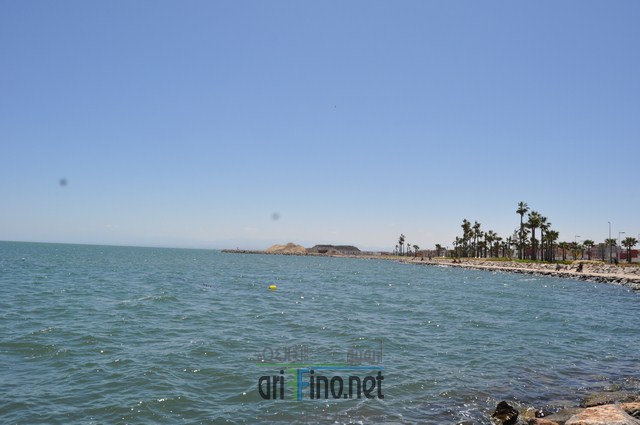 DSC_0007 (نسخ)
