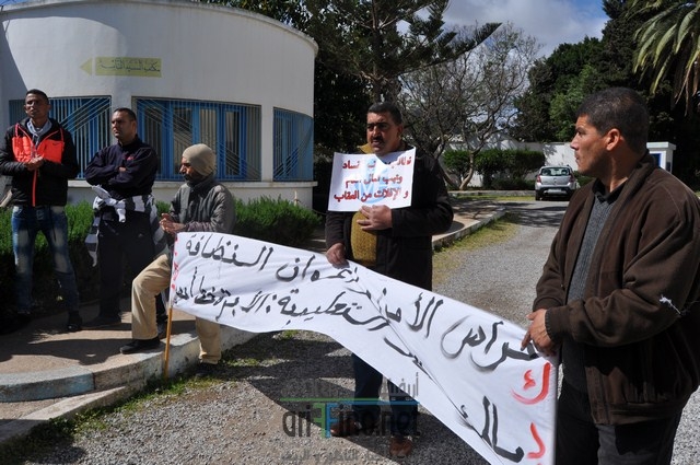 DSC_0009 (نسخ) (1)