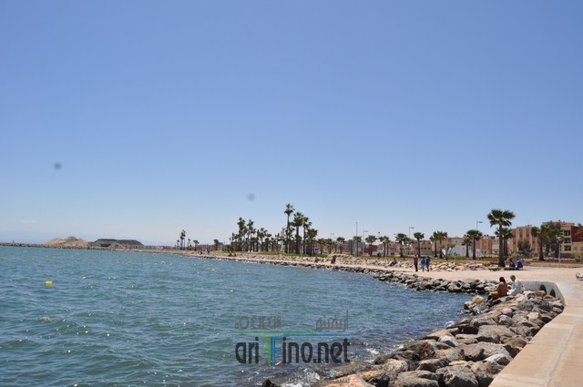 DSC_0009 (نسخ)