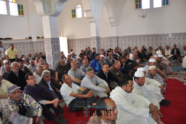 DSC_0011 (نسخ)
