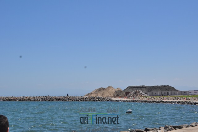 DSC_0015 (نسخ)