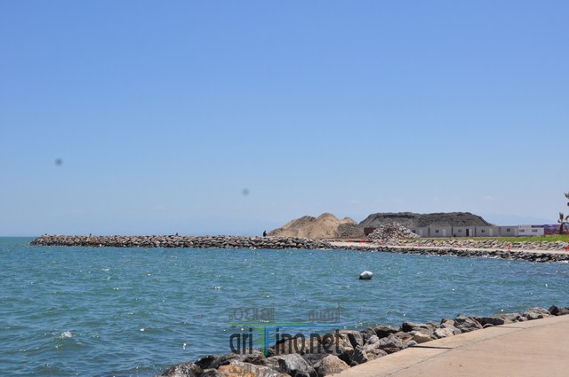 DSC_0016 (نسخ)