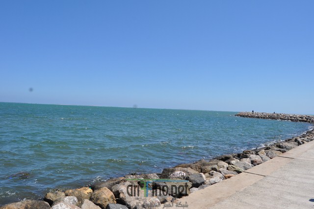 DSC_0022 (نسخ)