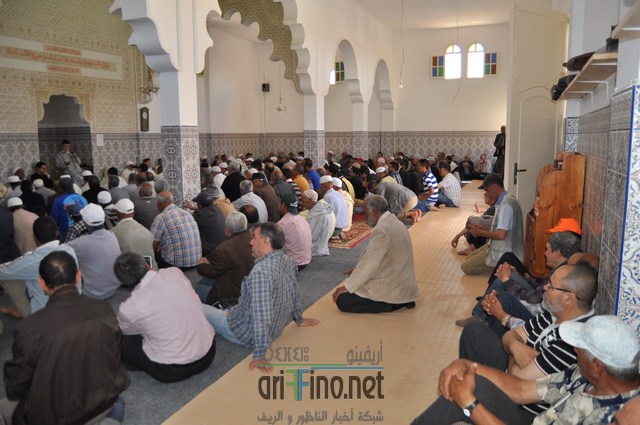 DSC_0023 (نسخ)