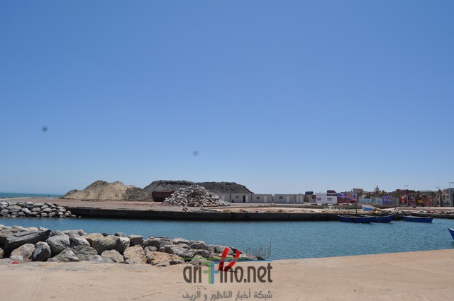 DSC_0033 (نسخ)