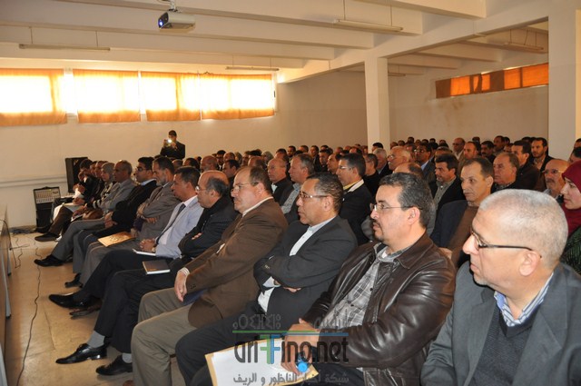 DSC_0033 (نسخ)
