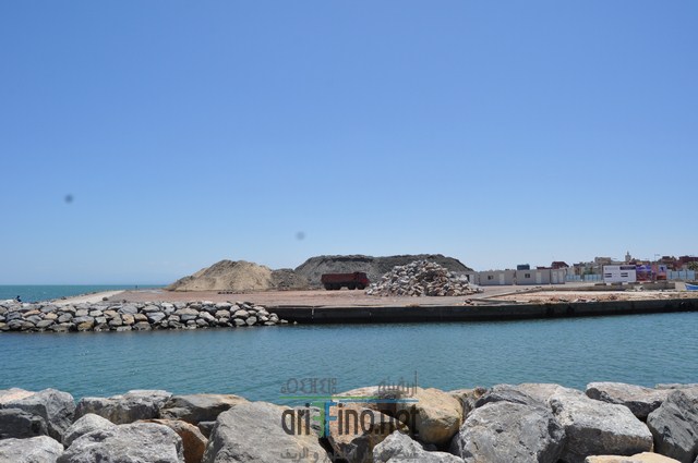 DSC_0034 (نسخ)