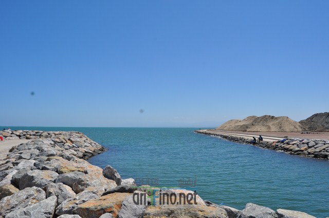 DSC_0036 (نسخ)