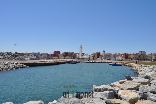 DSC_0037 (نسخ)