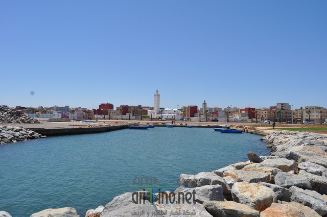 DSC_0038 (نسخ)