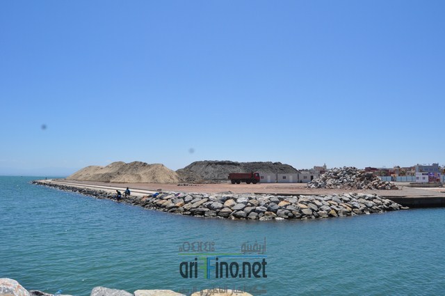 DSC_0040 (نسخ)