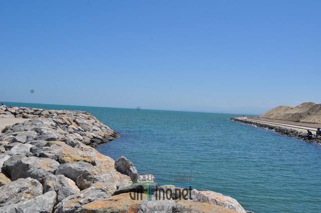 DSC_0041 (نسخ)